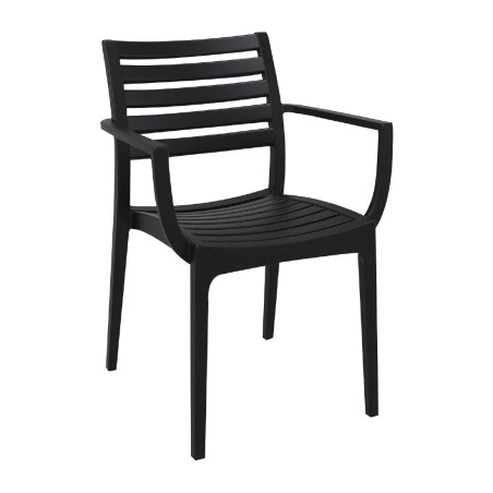 Fauteuils noirs Artemis (lot de 2)