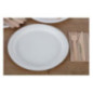 Assiettes en bagasse compostables Fiesta Compostable 26 cm (x50)