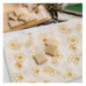 Rouleau d'emballage alimentaire en coton bio enduit de cire d'abeille Nuts 90x30cm