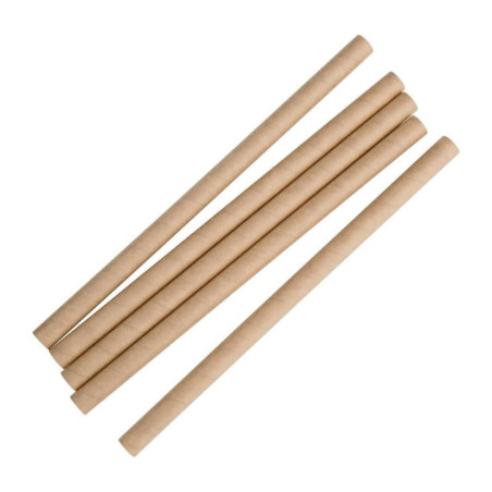 Pailles à smoothie Recyclables en papier Fiesta Recyclable kraft 210mm (lot de 250)