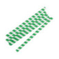 Pailles à smoothie compostables en papier Fiesta Compostable vertes 210mm (lot de 250)