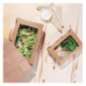 Boîtes salade compostables avec fenêtre en PLA Fiesta Compostable 700ml (lot de 200)