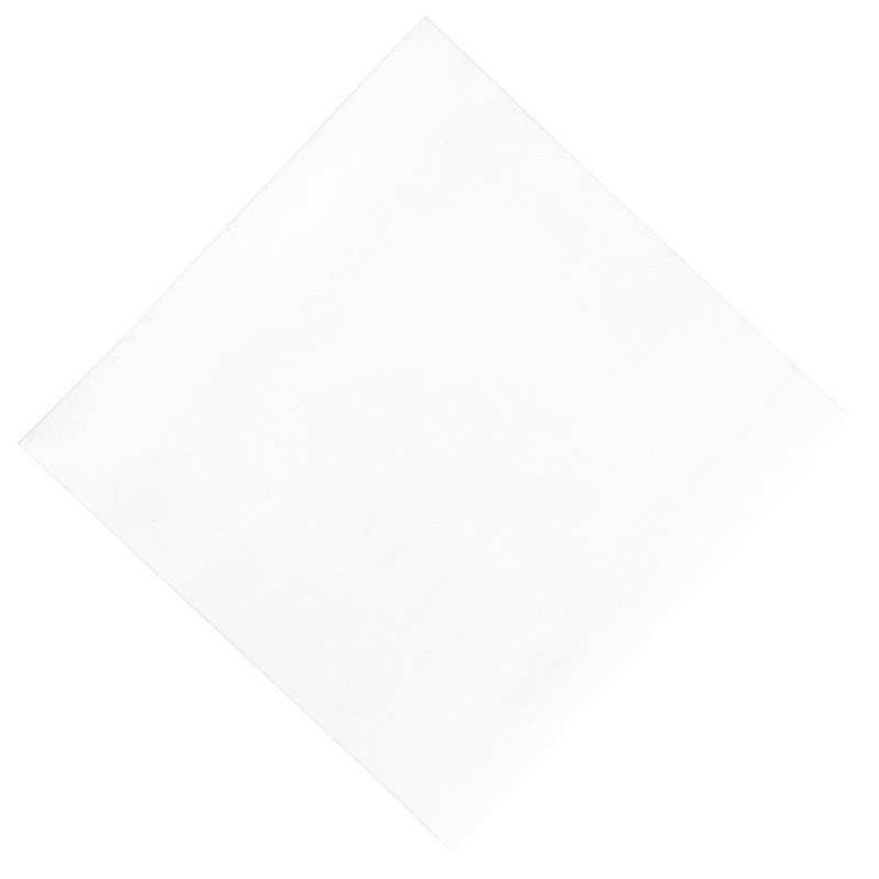 Serviettes déjeuner ouate blanches compostables Duni 400mm (lot de 750)