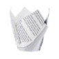 Cornets à frites antigraisse motif papier journal (lot de 1100)