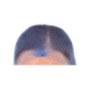 Filets à cheveux Lion Haircare bleus x50