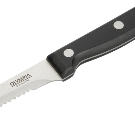 Couteaux à viande Olympia manche noir (Lot de 12)