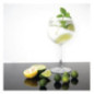 Verres à gin en cristal Bar Collection Olympia 645ml (lot de 6)