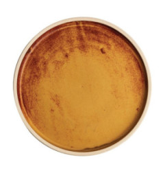 Assiettes plates bord droit terre de sienne Olympia Canvas 25 cm  (Lot de 6)