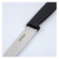 Couteau d'office lame droite Hygiplas noir 75mm