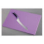 Planche à découper standard basse densité Hygiplas violette