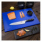 Planche à découper standard haute densité Hygiplas bleue