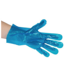 Gants de préparation alimentaire compostables Vegware bleus taille M (lot de 2400)