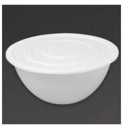 Bassine en polypropylène Schneider 9L