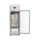 Armoire réfrigérée positive GN 1 porte Polar Série G 600L