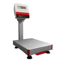 Balance à colonne 60kg précision 5g RUBIS-60