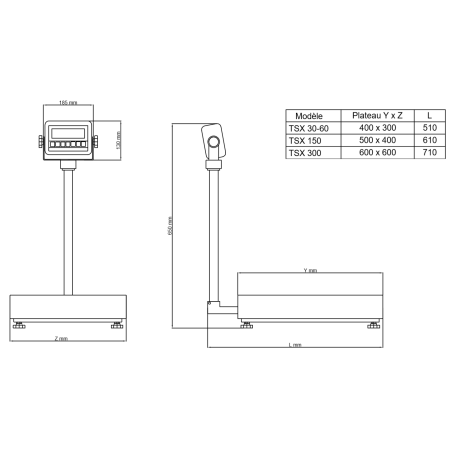 Balance à colonne 300kg précision 50g TSX-300