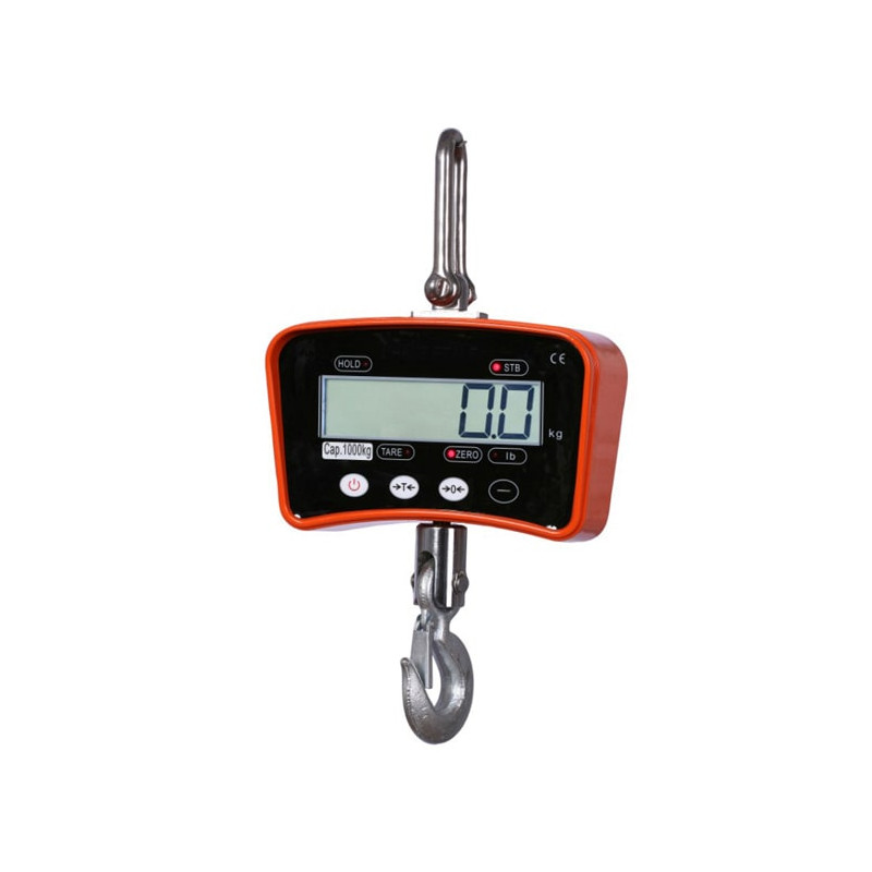 Dynamomètre électronique 300kg/100g Dynamomètre électronique 300kg/100g