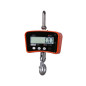 Dynamomètre électronique 300kg/100g Dynamomètre électronique 300kg/100g
