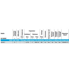 COFFRET ECP EXPERT 300 WCC7