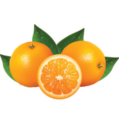 Presse-oranges automatique - compact