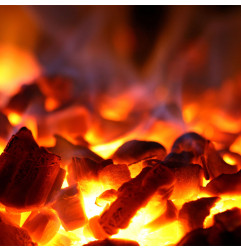 Four-BBQ à charbon, GN 1/1 + GN2/4 (75 Kg/h)/Noir
