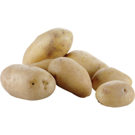 Eplucheuse pommes de terre de table (5 kg)