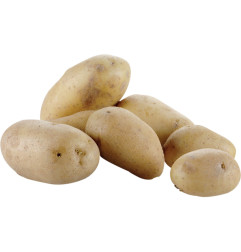 Eplucheuse pommes de terre sur pied (10 kg)