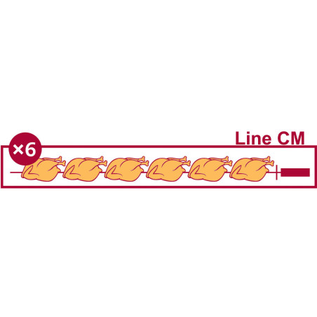 Rôtissoire électrique vitrocéramique, 3 broches (18 poulets)