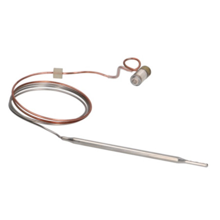 SONDE MINISIT 30-100°C