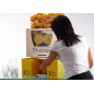 Frucosol F50 Presse-agrumes presse orange Frucosol F50 Presse-agrumes presse orange