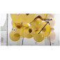 f50-024 boules de pressage frucosol