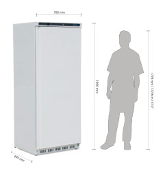 Armoire réfrigérée positive 1 porte blanche Polar Série C 600L