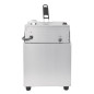 Friteuse simple Buffalo - 1 x 8L 2,9kW avec minuterie
