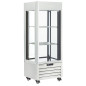 Vitrine "FULL vitrée" 440 Lt., 1 niveau + 2 étagères, ventilée - WINE - BLANC Vitrine "FULL vitrée" 440 Lt., 1 niveau + 2 étagères, ventilée - WINE - BLANC