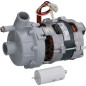 ELECTROPOMPE LGB ZF119SX 0,20HP ELECTROPOMPE LGB ZF119SX 0,20HP