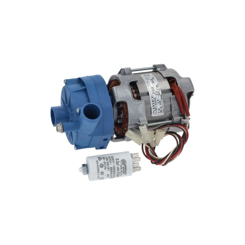 ELECTROPOMPE NIDEC ZF131DX 0,27HP ELECTROPOMPE NIDEC ZF131DX 0,27HP