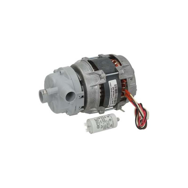 ELECTROPOMPE LGB ZF171SX 0,30HP ELECTROPOMPE LGB ZF171SX 0,30HP