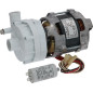 ELECTROPOMPE LGB ZF131SX 0,33HP ELECTROPOMPE LGB ZF131SX 0,33HP