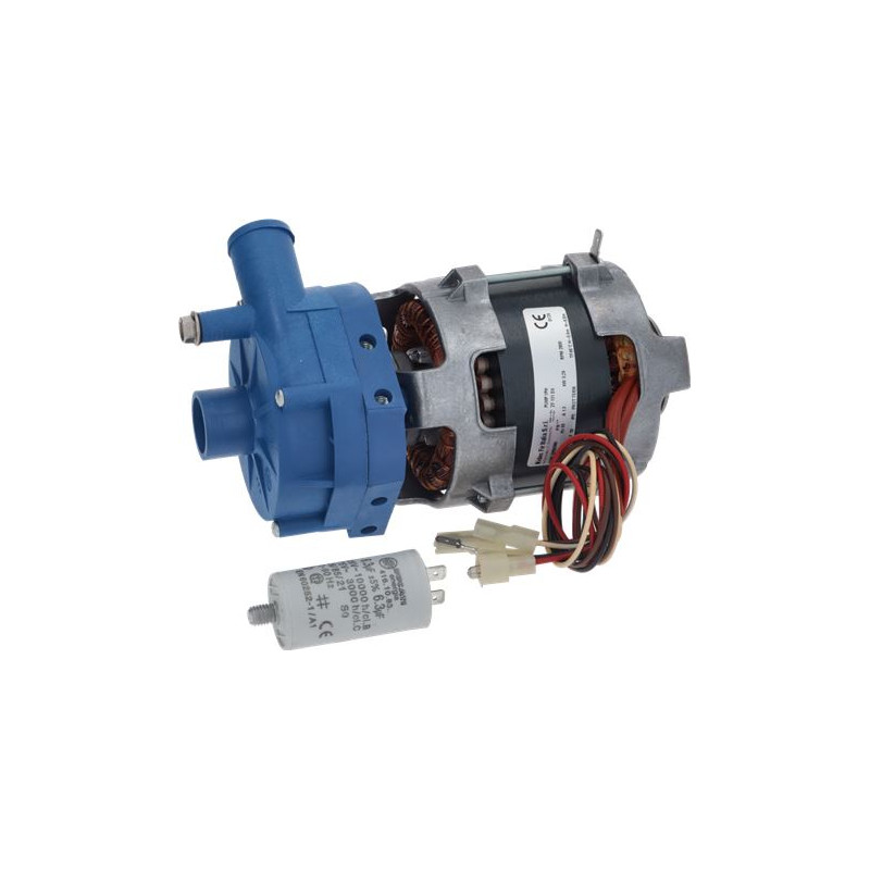 ELECTROPOMPE NIDEC ZF131DX 0,40HP ELECTROPOMPE NIDEC ZF131DX 0,40HP