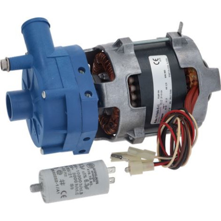 ELECTROPOMPE NIDEC ZF131DX 0,40HP