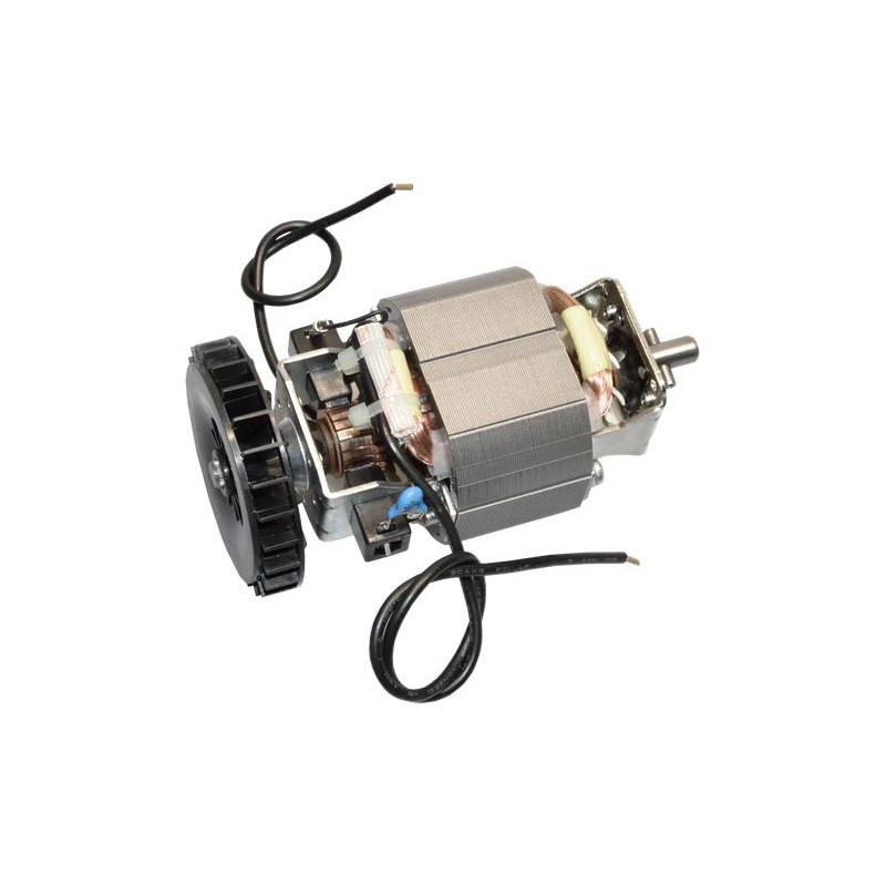 MOTEUR 220-240V 50-60Hz D160 (2847) MOTEUR 220-240V 50-60Hz D160 (2847)