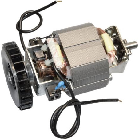 MOTEUR 220-240V 50-60Hz D160 (2847)