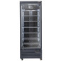 Vitrine Freezer verticale, 560 litres - NOIRE Vitrine Freezer verticale, 560 litres - NOIRE