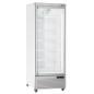 Vitrine Freezer verticale, 560 litres - BLANCHE Vitrine Freezer verticale, 560 litres - BLANCHE