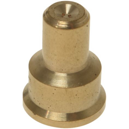 INJECTEUR DE VEILLEUSE POLIDORO 2X Ø0.25MM (lot de 5)